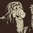 S37 profile pic