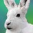 rossdh profile pic