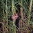 EclecticEccentric profile pic