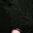 Kierst_thara profile pic