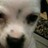 jr0bert profile pic