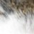 ryansigg profile pic