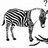 carolithe profile pic