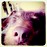 pjs321 profile pic