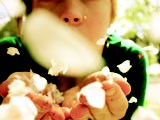 theginger