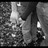 caseys_penguin profile pic