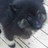 Lucygirl1 profile pic