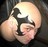 Steve Vortex profile pic