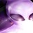RHStillwell profile pic