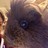visitinghours profile pic