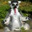 sMarsell profile pic