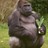 youape profile pic