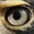 eagleeye profile pic