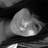 trncd profile pic