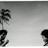recordrustle profile pic