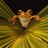 mkdamr1302 profile pic