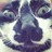 katiesansizzle profile pic