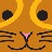designcat profile pic