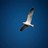 coolbalance profile pic