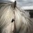 febrione_m_romualdo profile pic