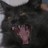 NIKZEN profile pic