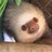 elcucu profile pic