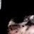 Jeanie.Gordon profile pic