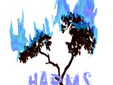 Harmsway