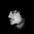 PhenoMenon15 profile pic