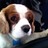 kingcharles profile pic