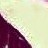 calai profile pic