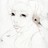 HollyWolfe profile pic