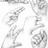 ireallylovedrawingl profile pic