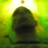 DaveHorowitz profile pic