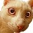 CodyJakubowski profile pic