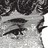 Yoko B profile pic