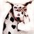 juan pablo sarmiento profile pic