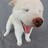 cookie_mikee profile pic