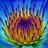Inner_Zen profile pic