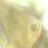 deluna13 profile pic