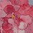 cherry_jellybean profile pic