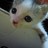 gongon7566 profile pic