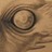 Sixwings profile pic