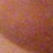 honeycoo profile pic