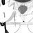 Peek C3 profile pic