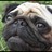-Gio- profile pic