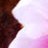 maya.okubo profile pic