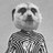 LadyMeerkat profile pic
