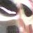 Hhoh_my_gohd profile pic