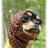 epey82 profile pic